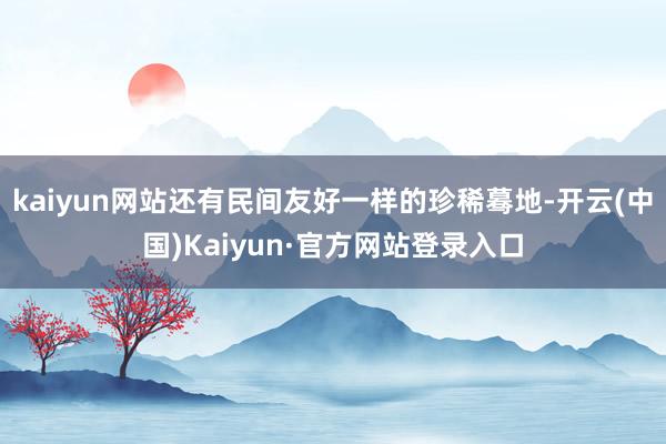 kaiyun网站还有民间友好一样的珍稀蓦地-开云(中国)Kaiyun·官方网站登录入口