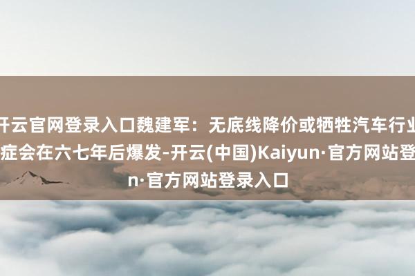 开云官网登录入口魏建军：无底线降价或牺牲汽车行业，后遗症会在六七年后爆发-开云(中国)Kaiyun·官方网站登录入口